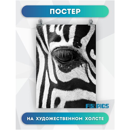 ������ �� ������ �����, ���� ����� 30�40 �� 504�