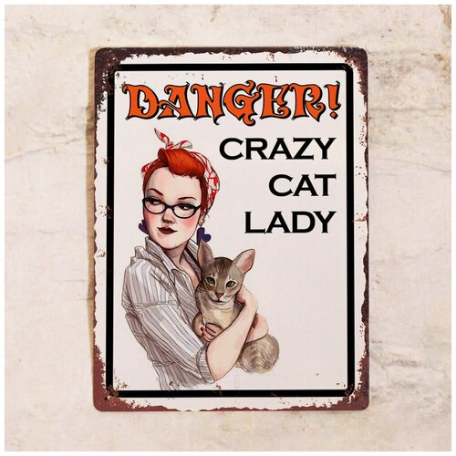   DANGER - Crazy Cat Lady, , 2030  842