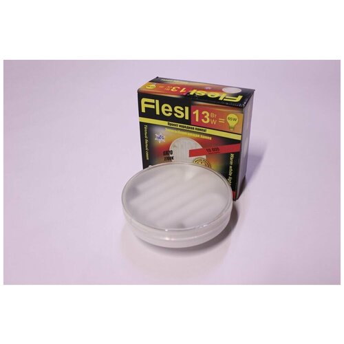    Flesi 13, 220,  GX70.    2700K,  180  Flesi