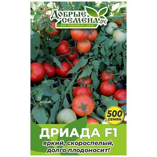 Семена томата Дриада F1 - 500 шт - Добрые Семена.ру 875р