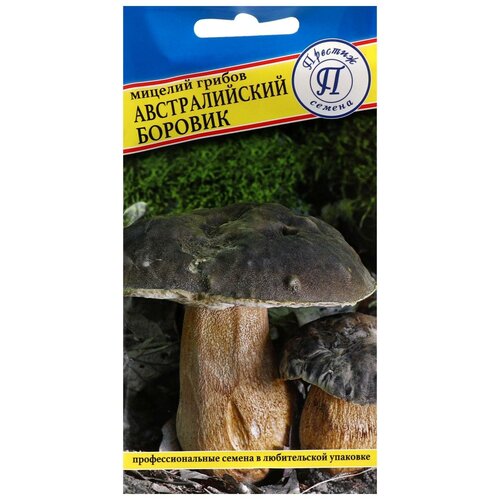 Мицелий грибов Австралийский боровик, 50 мл 240р
