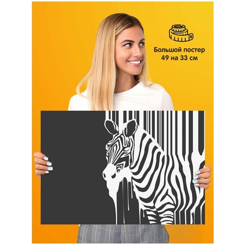 ������ ������ Zebra ����� 339�
