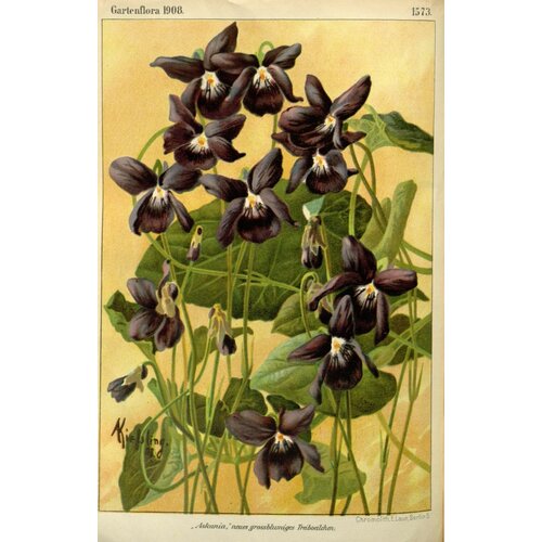 �������� ������ 20 �� 30 ��, ����-������ � ������� 790�