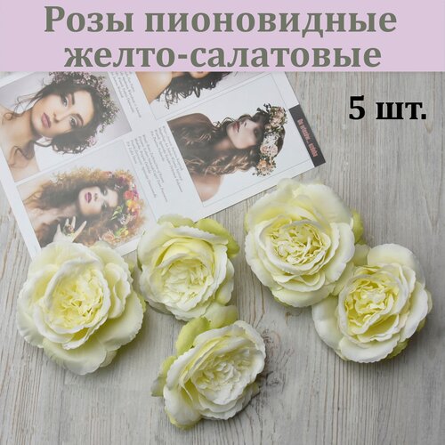     - (5 .) /    /     ,  317  SM-Floristic