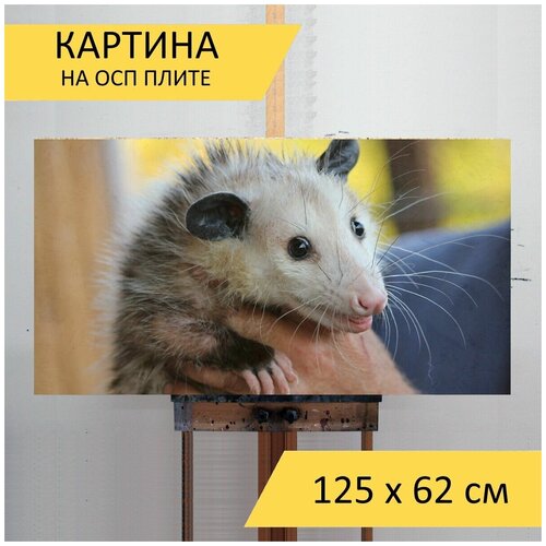 ������� �� ��� 