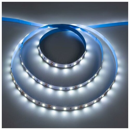   Ecola PRO 5 , IP20, SMD2550, 60 LED/, 19 /, 12 , 6000 624