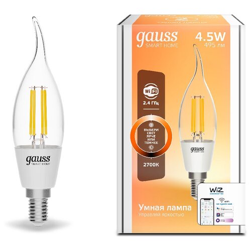   Wi-Fi GAUSS Smart Home Filament F35 4,5W 495 E14  /,  1550