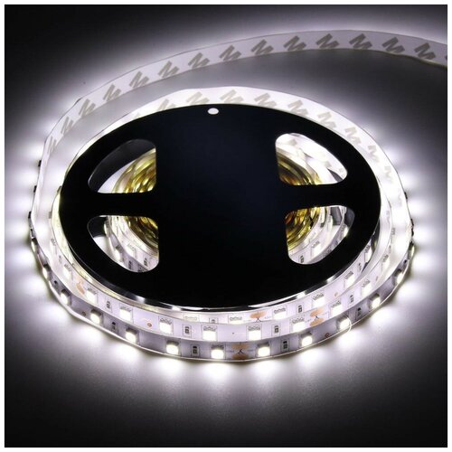  : SMD5050-60LED-IP33-24 5. -  : 5500-6000K 2400