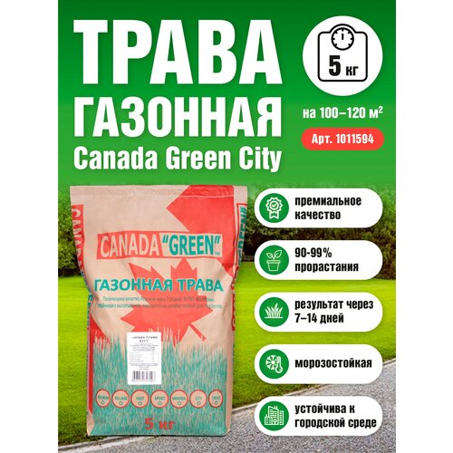 Газонная трава семена Канада Грин Городской CITY 15 кг/ мятлик, райграс,овсяница семена для газона 4512р