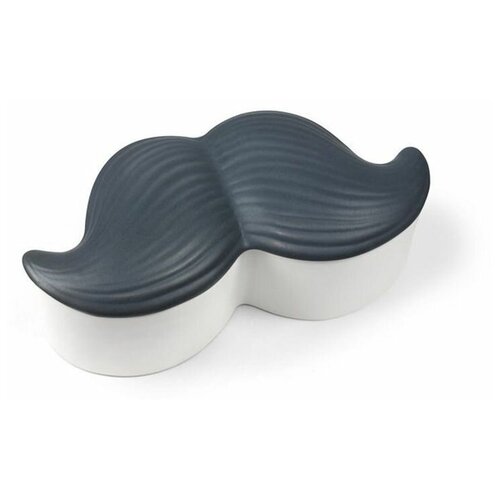    Stache Box 2108