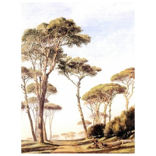        (Rome Stone Pines)    30. x 40.,  1220   