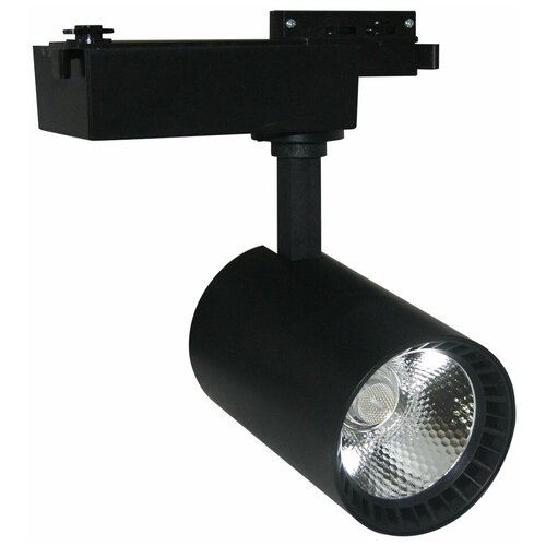    A2664PL-1BK 30W 4000K,  1566  Arte Lamp