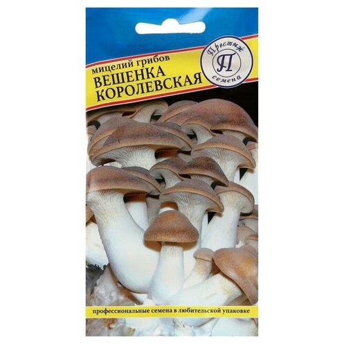 Мицелий грибов Вешенка королевская, 12 шт 352р