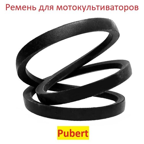     PUBERT 0306030024 745