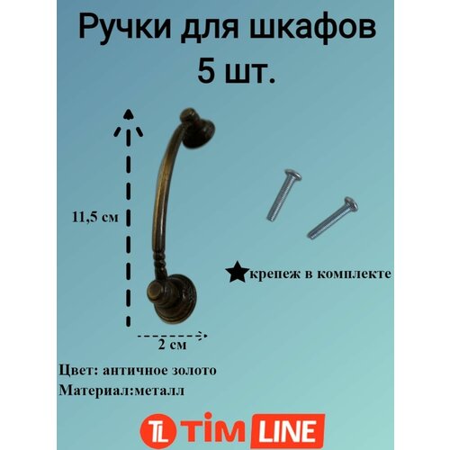       TIMLINE 1581