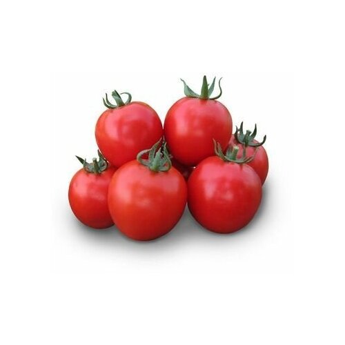 Асвон F1 (KS 1140 F1) - томат детерминантный, 5000 семян, Kitano seeds/Китано сидз (Япония) 6100р