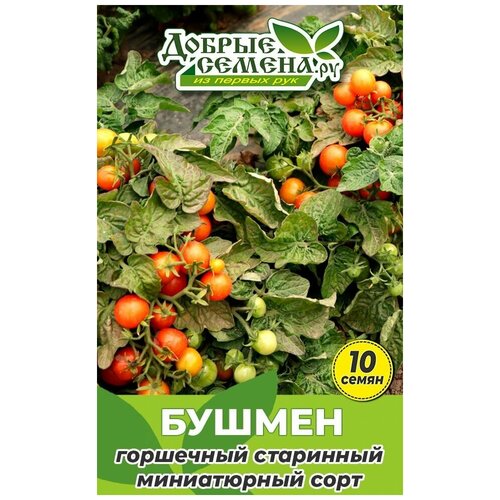 Семена томата Бушмен - 10 шт - Добрые Семена.ру 180р