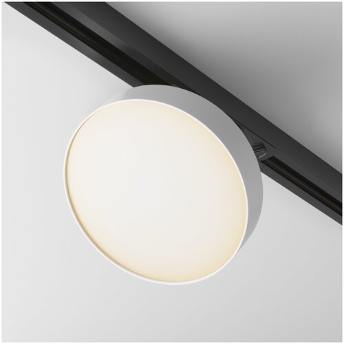    Maytoni Zon TR043-1-12W3K-W, , LED,  5900  Maytoni