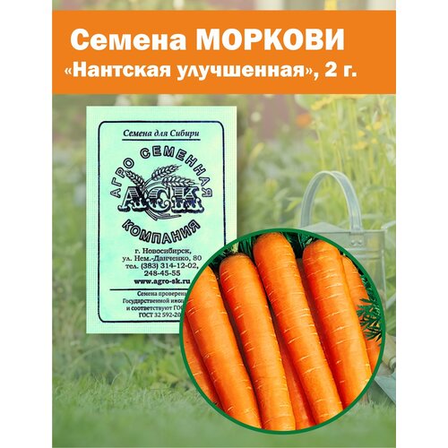 Семена моркови Нантская улучшенная б/п, 2 г 31р