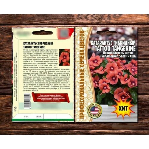 Катарантус гибридный TATTOO Tangerine F1 /5 семян*1 упаковка/Профессиональные семена цветов 299р
