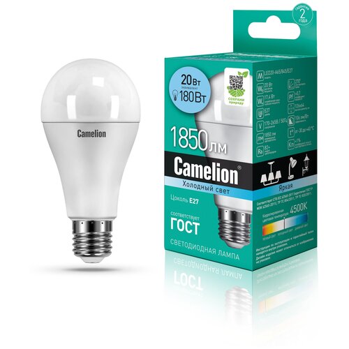    Camelion LED20-A65/845/E27,  263  CAMELION