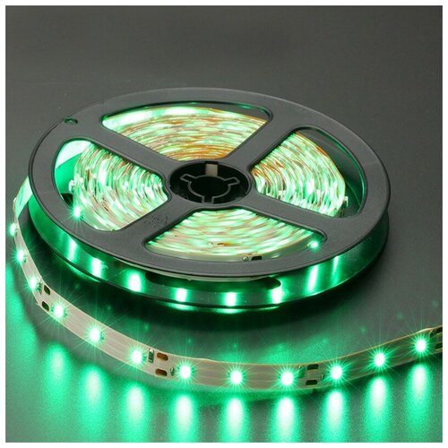    SMD 3528-60LED-IP33 12  5. -  :,  2100  CLEVERLIGHT