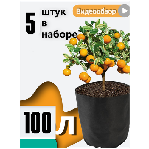     Bag Pot Eco 100 ,  5 ,    grow bag  , ,  3300