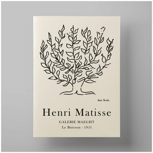      , Matisse, 3040 ,     ,  560   