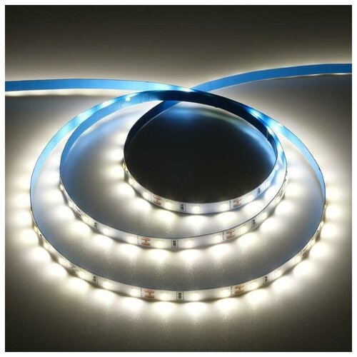    Ecola PRO 5 , IP20, SMD5060, 60 LED/, 11 /, 12 , 4200,  650  Noname