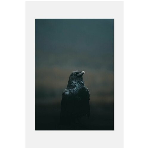 ������ ��� ��������� Postermarkt, 70�100 �� � ������, ������ �������� #5 2699�