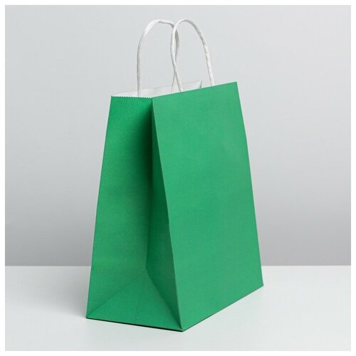����� ��������� Green, 22 x 25 x 12 �� 184�