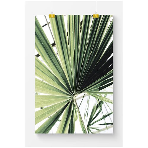 ������ ��� ��������� Postermarkt ������� ���� ������, 40�50 ��, � ������ 1169�