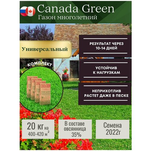 Газонная трава семена,универсальные 20 кг Канада Грин 