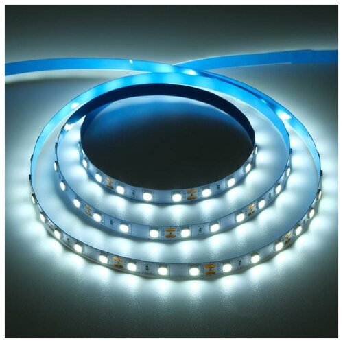   Ecola PRO 5 , IP20, SMD5050, 60 LED/, 14.4 /, 12 , 4200 637