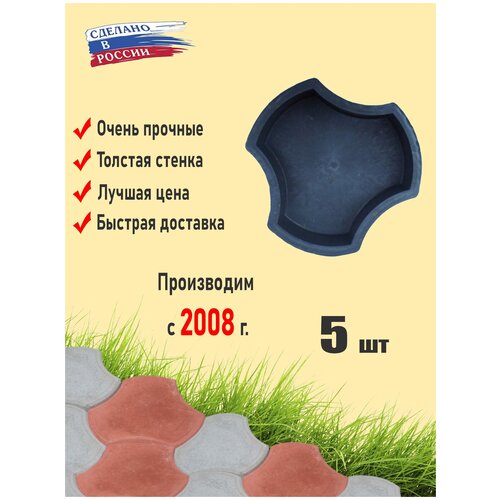 ����� �� 5 ���� ��� ���������� ������ 