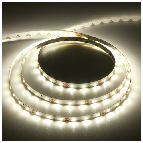   Ecola PRO 5 , IP20, SMD2835, 60 LED/, 8 /, 12 , 4200 531