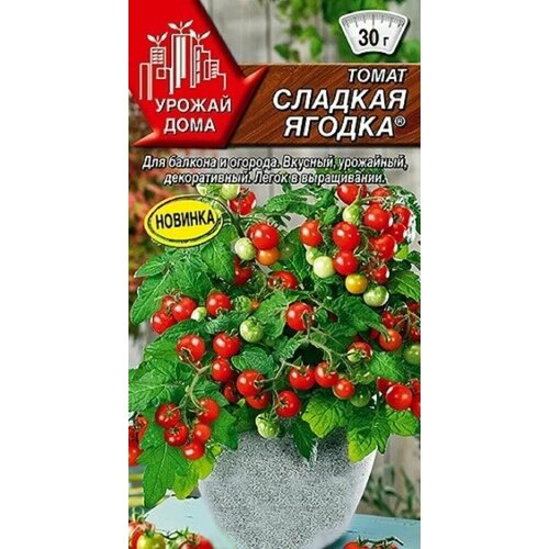 Томат Сладкая ягодка, 20шт, для выращивания на балконе или подоконнике, компактный, не требуется подвязка. 223р