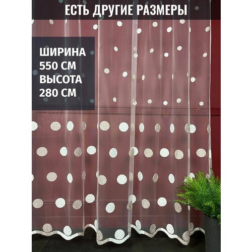 ���� �������, ����������, ������� ������, ������ 550x280 �� 4750�