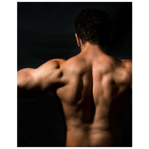 ������ �� ������ ������ (Fitness) �61 40��. x 50��. 1710�