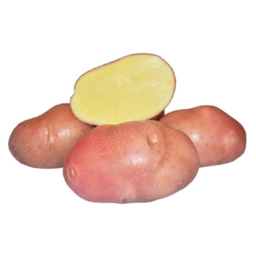Семенной картофель беллароза (суперэлита) 899р