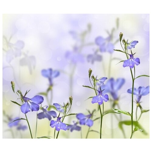 ������ �� ������ ������ (Flower) �37 59��. x 50��. 2250�