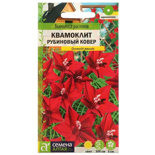 Семена цветов Квамоклит 