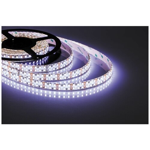  , 240SMD(2835)/m 19.2W/m 12V 5m 6500, LS615 2571