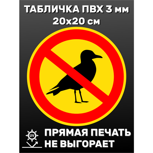�������� �������������� ���� ��� 20�20 �� 300�