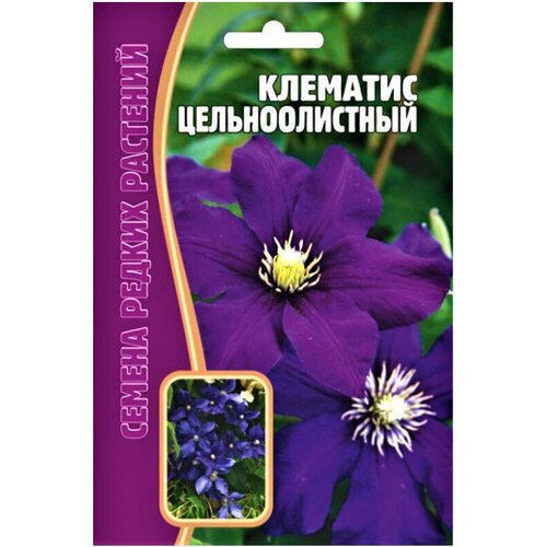 Семена редких растений. Клематис Цельнолистный 5 шт. 226р