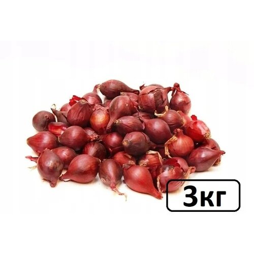 Семена лук-севок Ред Барон 3 кг 610р