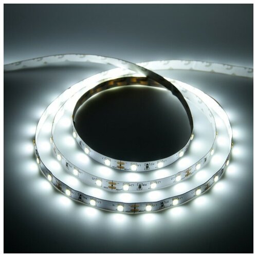  GENERAL    General, 12, SMD2835, 5 ,  ., 60 LED/, ,  1249  GENERAL