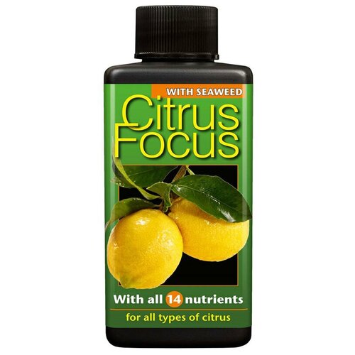      Citrus Focus Growth Technology 100 . 700