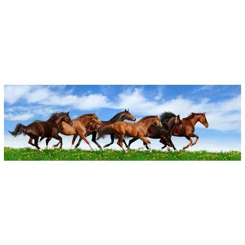      (Horses) 29 188. x 60.,  6520   