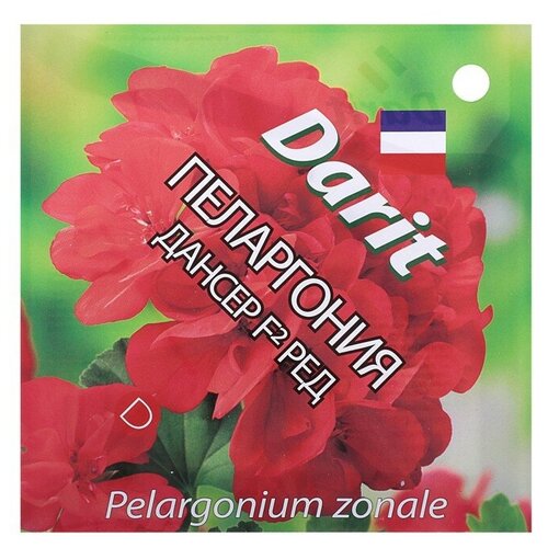Пеларгония Дансер Ред F2, семена Дарит 4шт 321р
